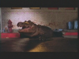 alligator1.jpg
